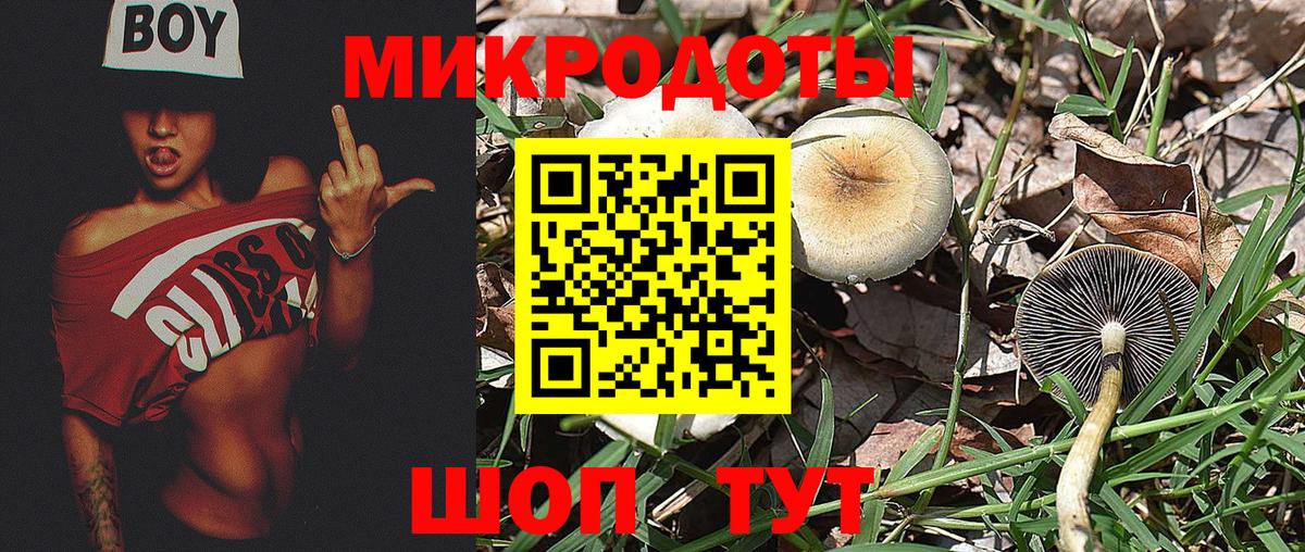 Галлюциногенные грибы мухоморы  Вход с VPN  Псилоцибиновые грибы Magic Shrooms  Рославль 
