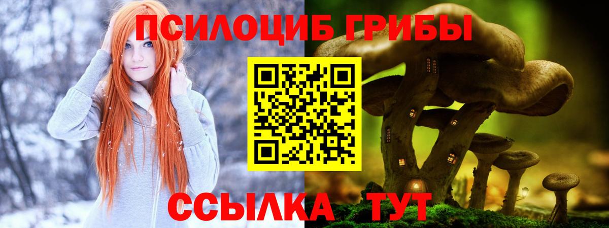 Псилоцибиновые грибы Cubensis Рославль
